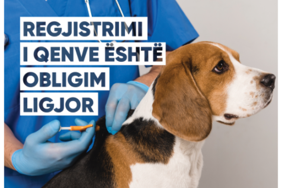 Poster - Identifikimi dhe regjistrimi i qenve