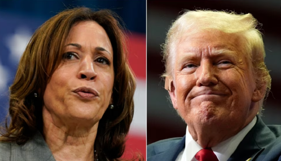 trump-harris-123