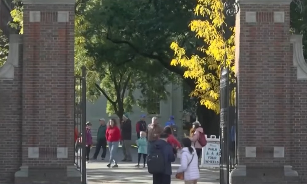 universiteti i harvardit