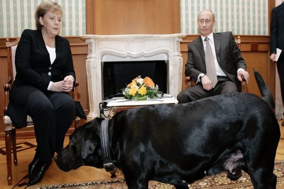 Angela Merkel - Vladimir Putin