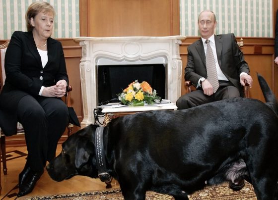 Angela Merkel - Vladimir Putin