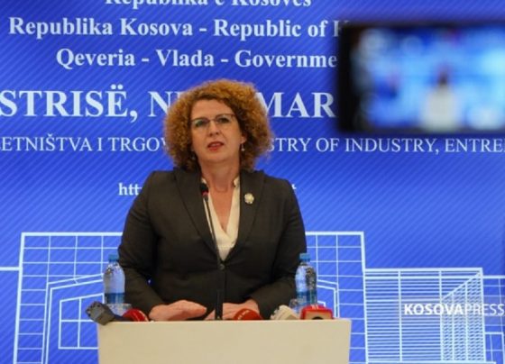 Rozeta Hajdari, ministre e MINT-it