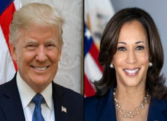 Trump-Harris