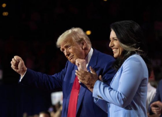 Donald Trump - Tulsi Gabbard