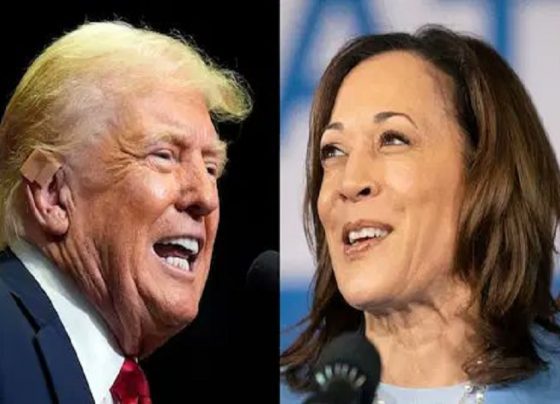 Donald Trump - Kamala Harris