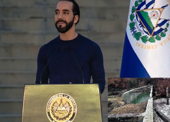 Nayib Bukele