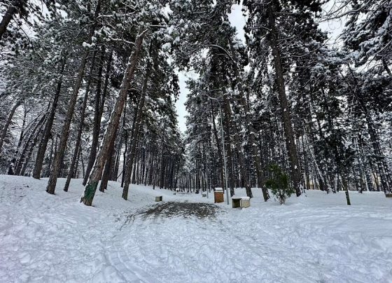 Moti javën e ardhshme do të shënojë ulje të temperaturave - kujdes në rrugë