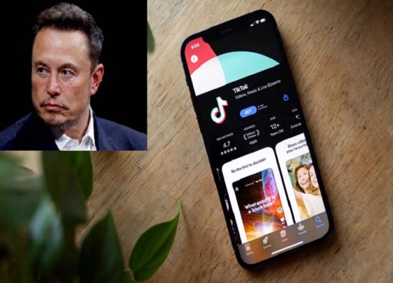 Musk deklarohet rreth blerjes së TikTok