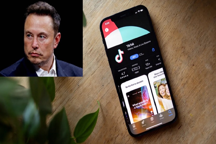 Musk deklarohet rreth blerjes së TikTok