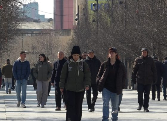 Sa po e ruajmë dhe kultivojmë gjuhën shqipe, flasin qytetarët