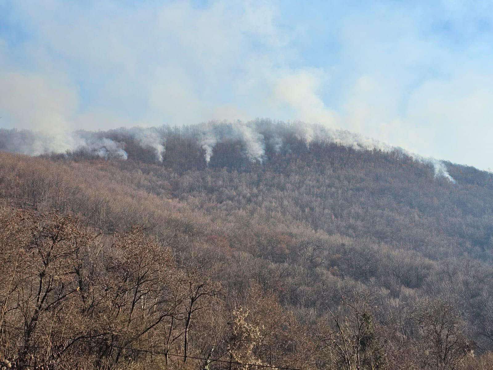 Kështu duken pyjet e përfshira nga zjarri në Deçan (Foto-Video)