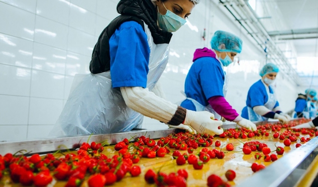 KAS: 33.73% decrease in the manufacturing industry sector