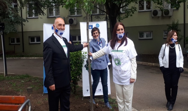 Municipalities plant Olympic Trees on the occasion of the World Sports and Environment Day