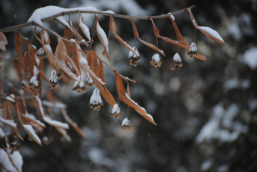 ​Weather forecast for today