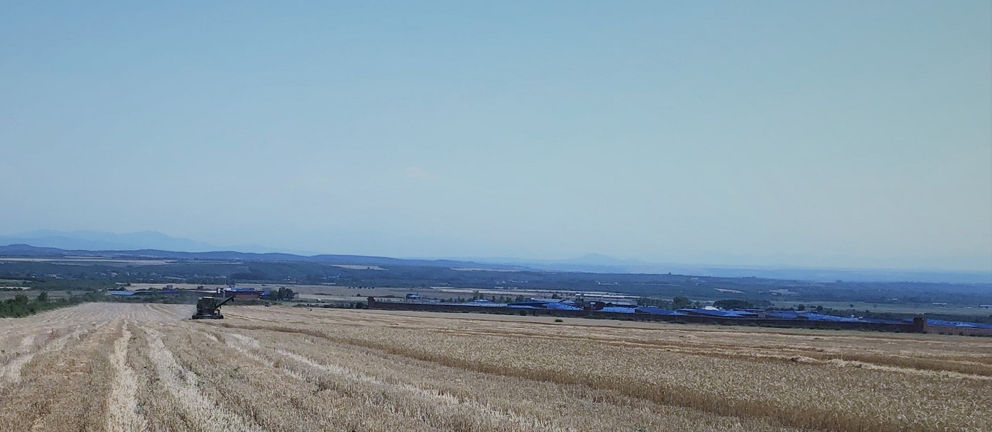 21 hectares of wheat were harvested in Dubrava Prison