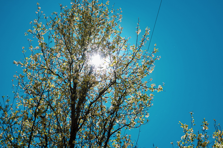 Weather forecast, today the hottest day of the week