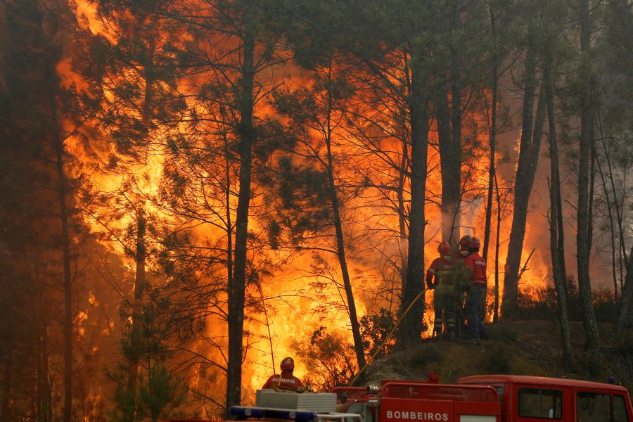 Forests are burning in Shtime, Suhareka and Prizren