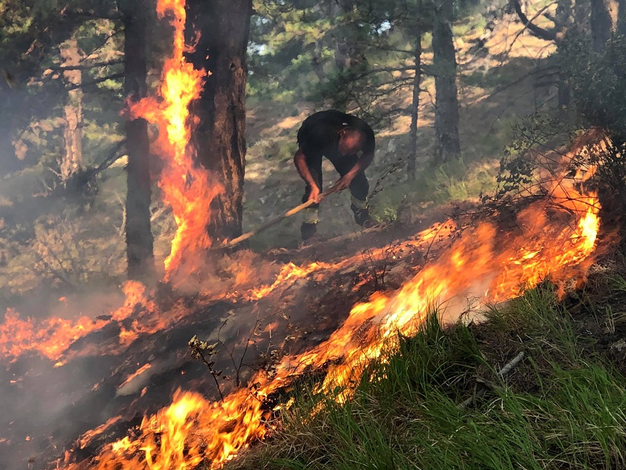 Forests are engulfed by fire, the inhabitants of Restelica are endangered