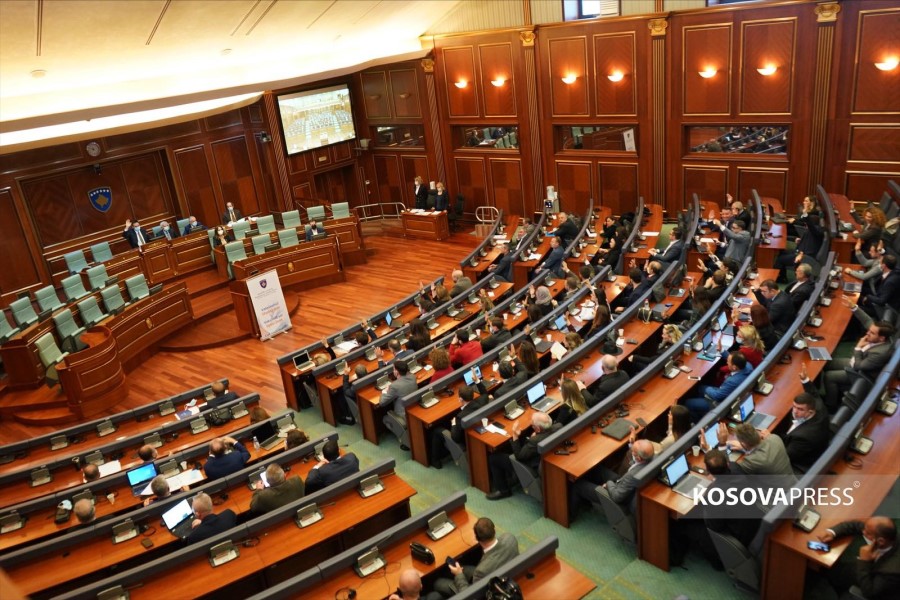 The Assembly approves the Government’s decision on emergency measures for electricity supply