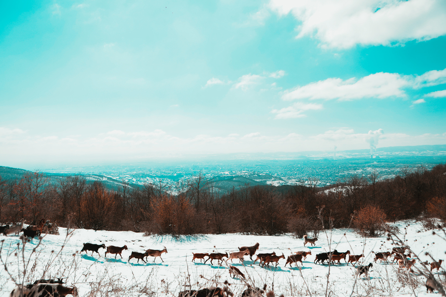 Weather today in Kosovo