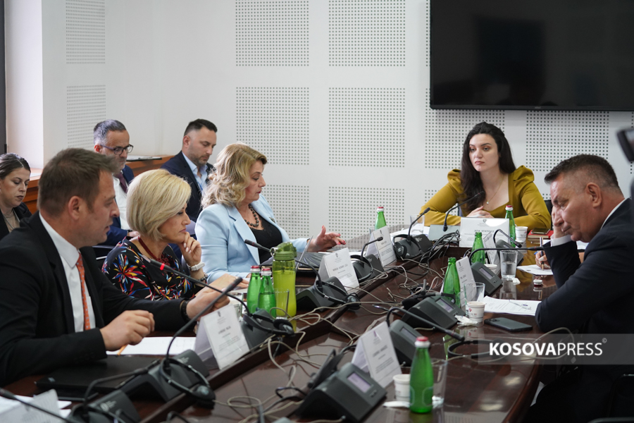 The Committee on Economy in Tirana: We discussed better economic cooperation between the two countries