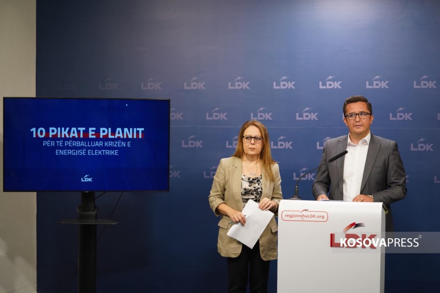 The LDK proposes a 10-point plan: The energy crisis will worsen dramatically