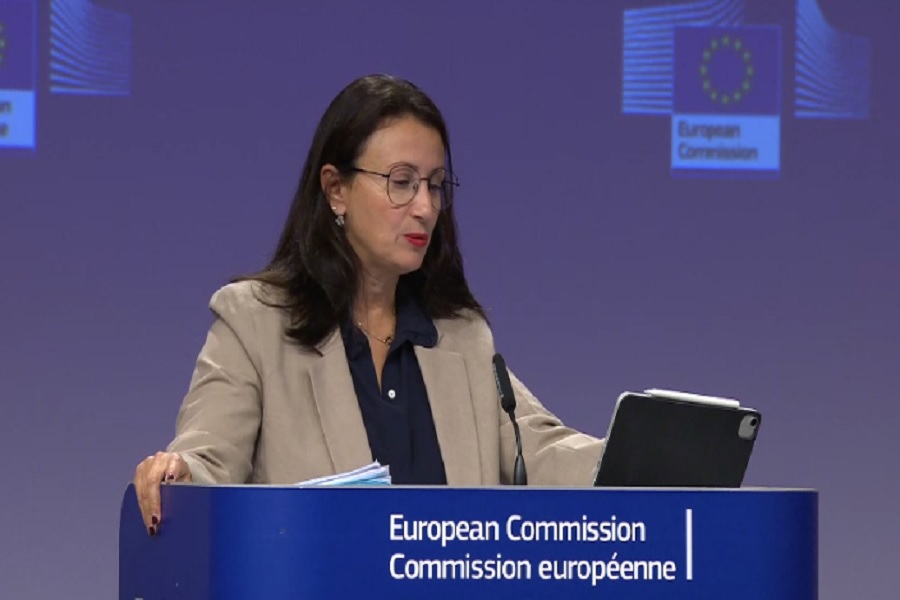 EU for license plates: Kosovo should have the right to gradually remove illegal license plates