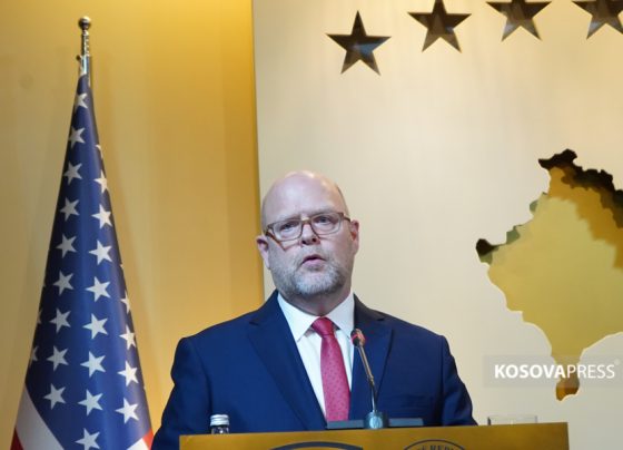 Hovenier: Kosovo has made great strides during the last 15 years