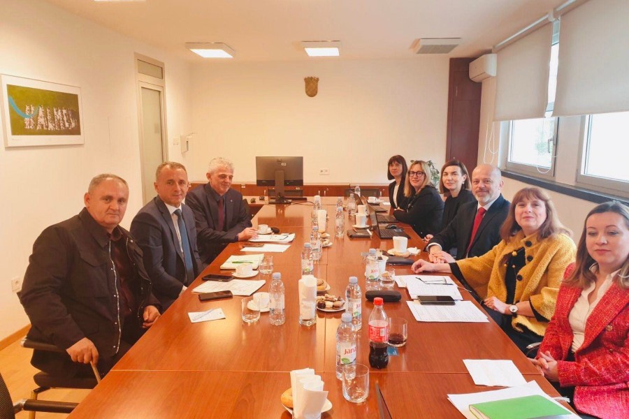 Kosovo and Croatia deepen the cooperation in the field of medical products and equipment