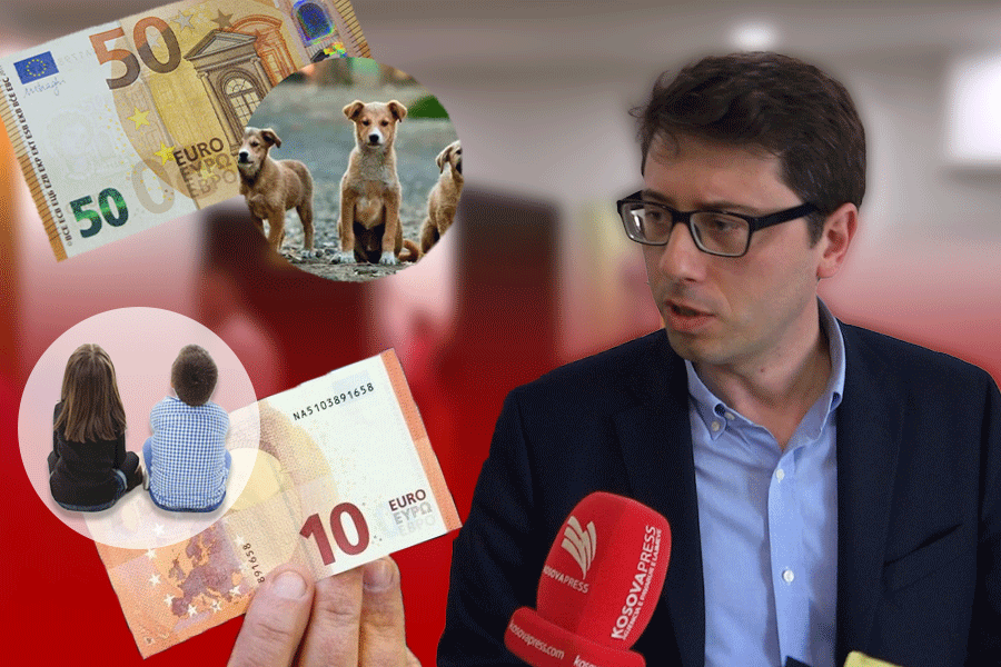 The government allocates 10 euros per child, while Prishtina allocates 50 euros per dog; speaks Minister Murati