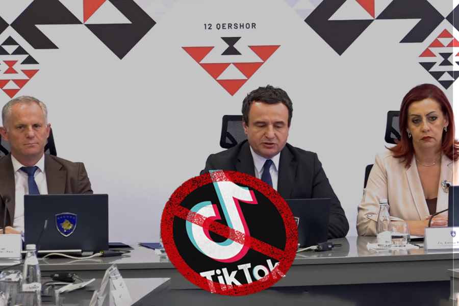 The government bans the use of TikTok in public institutions