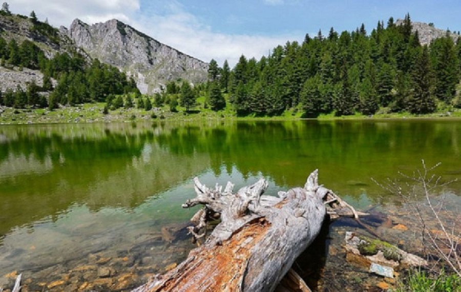 The number of tourists increases — here is the most visited municipality