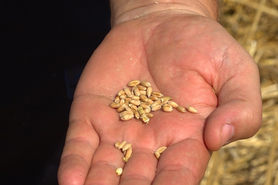 Farmers complain about delays in subsidies, Ministry of Agriculture provides details