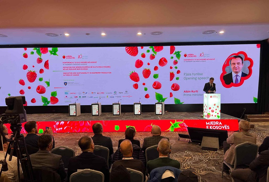Kosovo’s raspberry sector: Is it a growing success story?