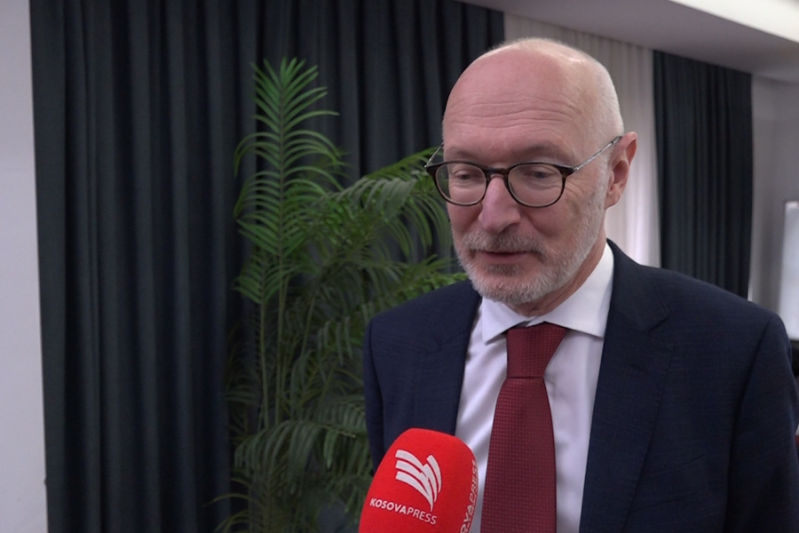 Guérot to KosovaPress: We need a fully-fledged government  in Kosovo