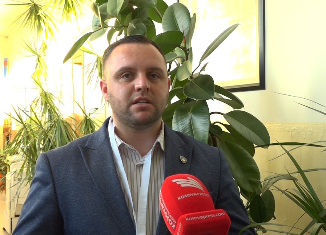 Parliamentary elections: Observers provide details on the electoral process in Vushtrri