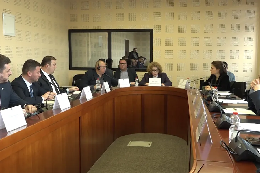 Debate in committee, publication of electricity sale and purchase contracts requested
