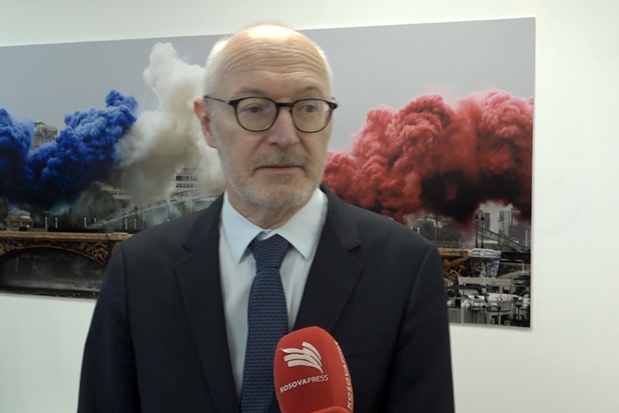Guerot: Political parties should find the right way to elect the president