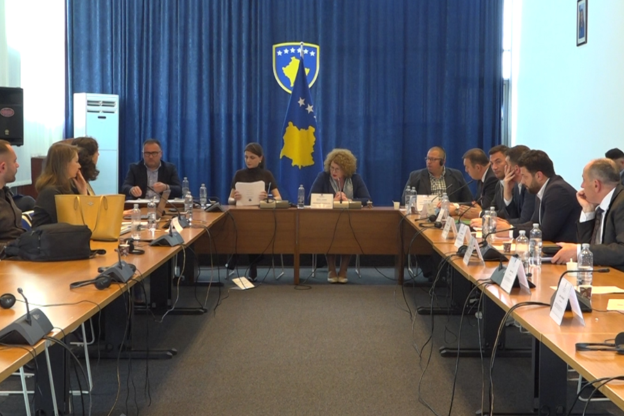 After lengthy discussions, the Committee on Economy votes on the Draft Law on Energy
