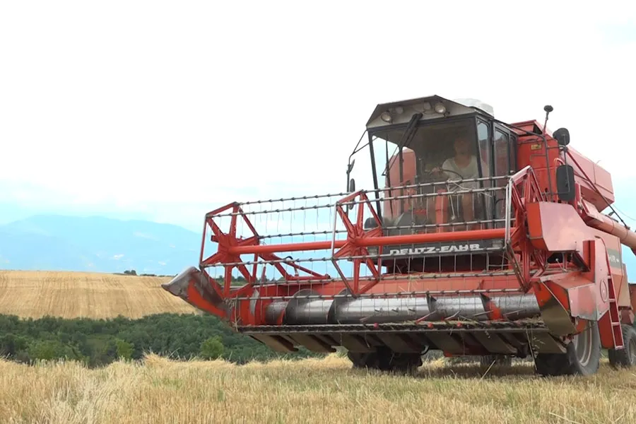gruri-3-130725