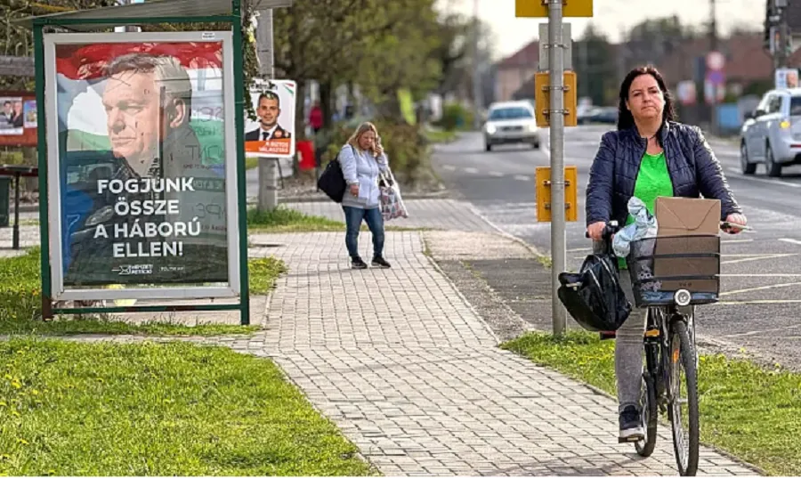 Zgjedhjett