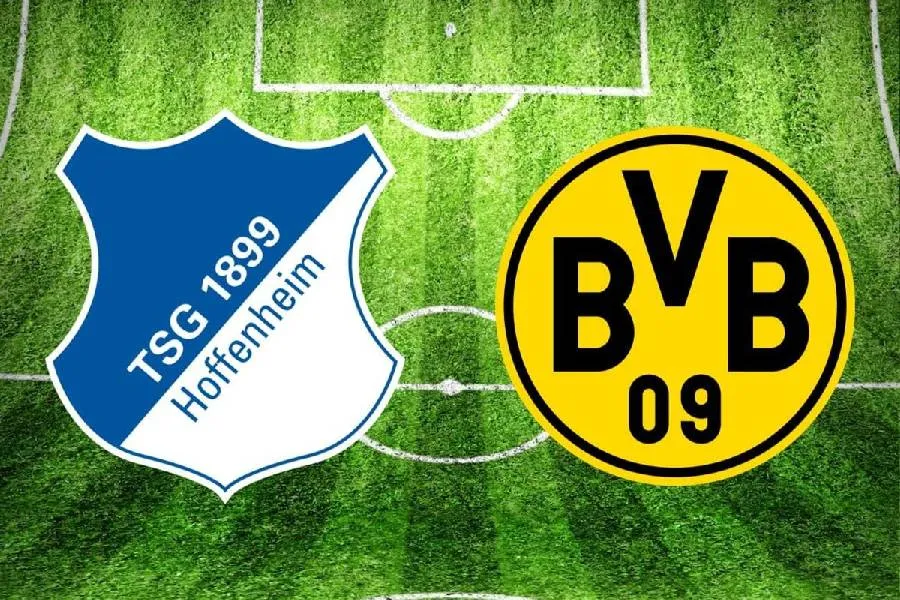 hoffenheim vs bvb