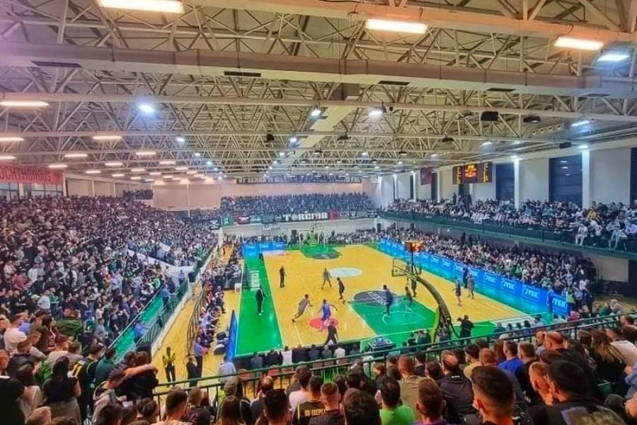 basket (1)