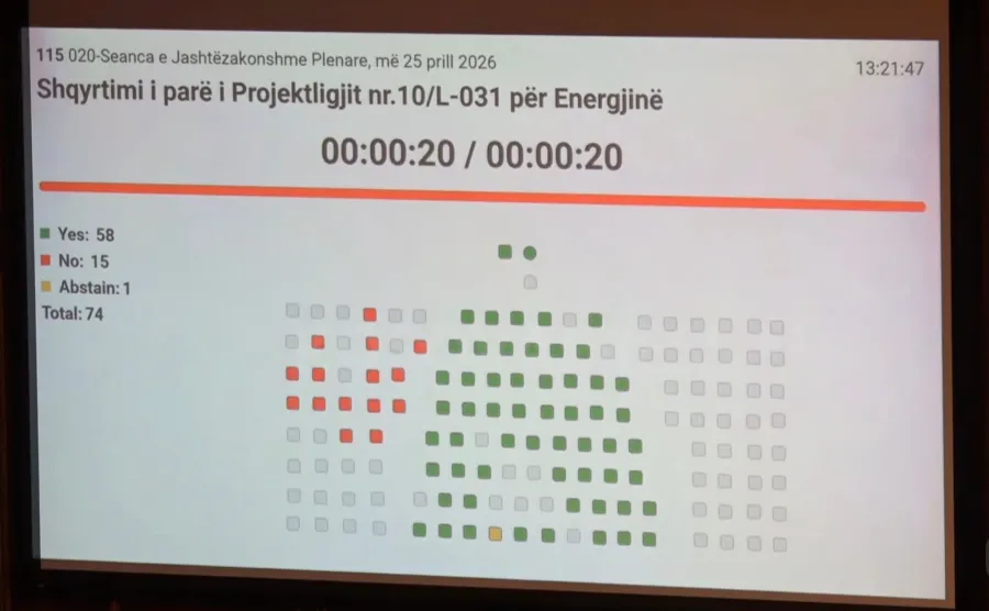 votimi projektligji per ekonomine