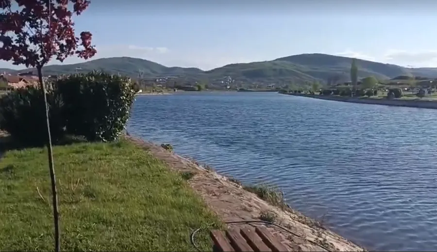 Lajmii
