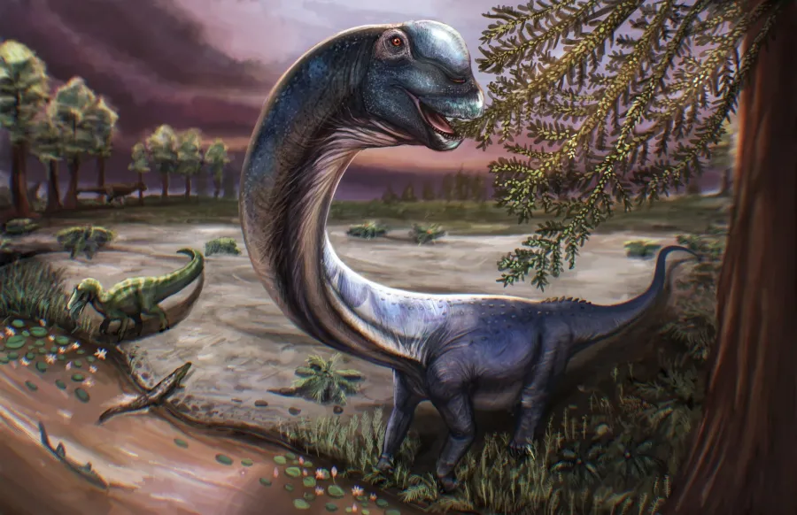 Dinosauriii