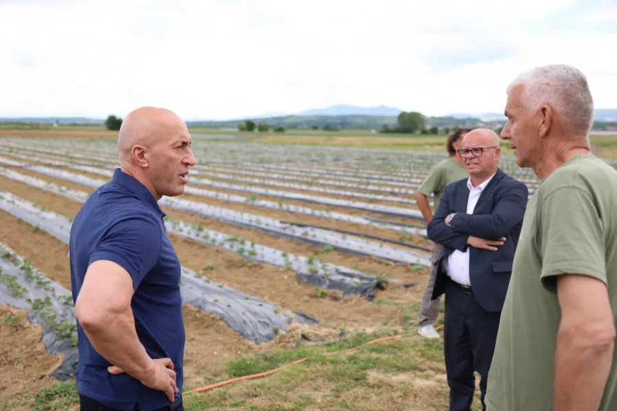 haradinaj fermeret