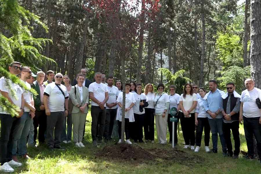 pema-olimpike-030626