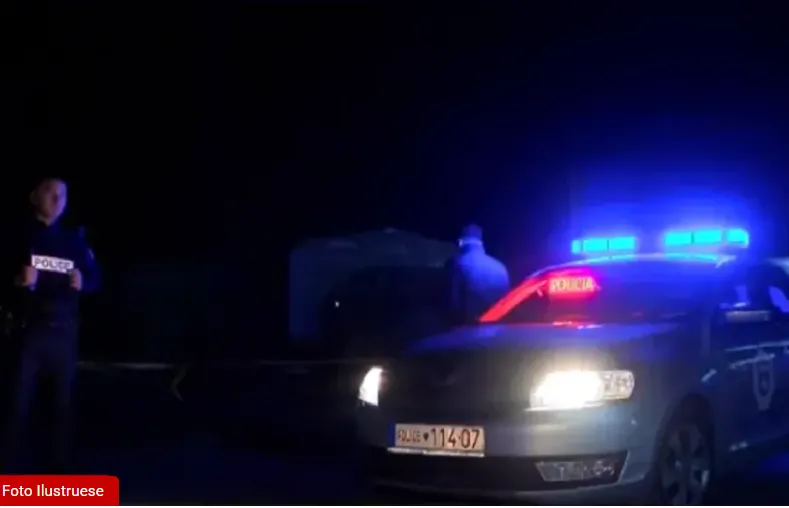 Katër pakistanezë pa dokumente gjenden në një automjet në Partesh