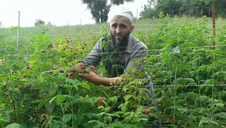 I vrari në Dragash dyshohet se ishte imam   detaje të reja nga therja me thikë në Zlipotok